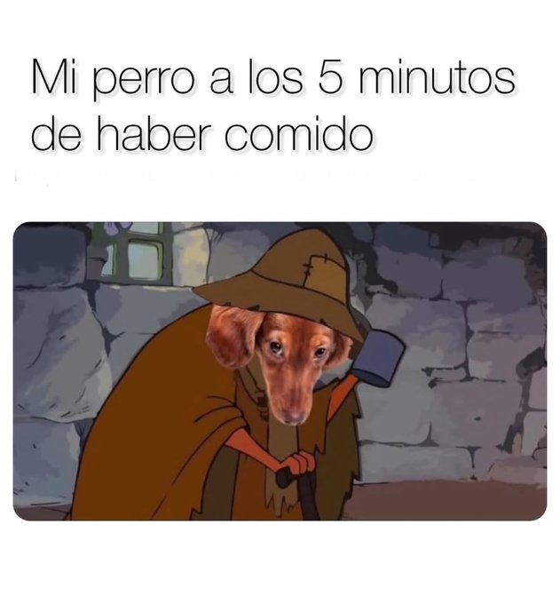 me llenas el cuenco capo? - meme