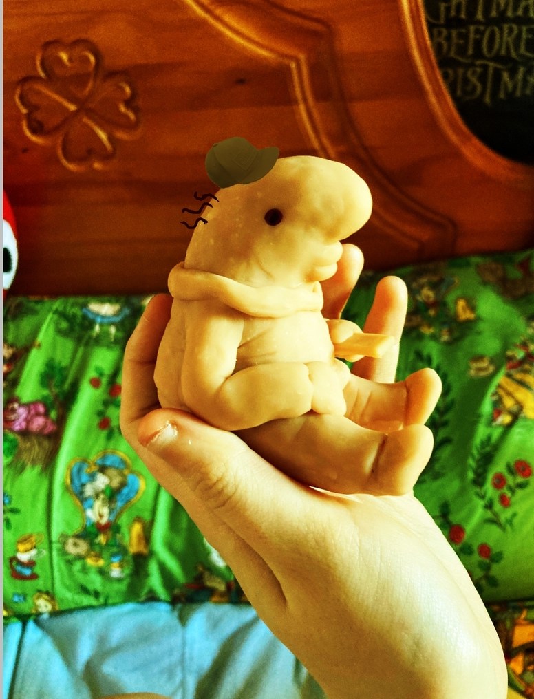 mascota reveal 100% real no feik - meme