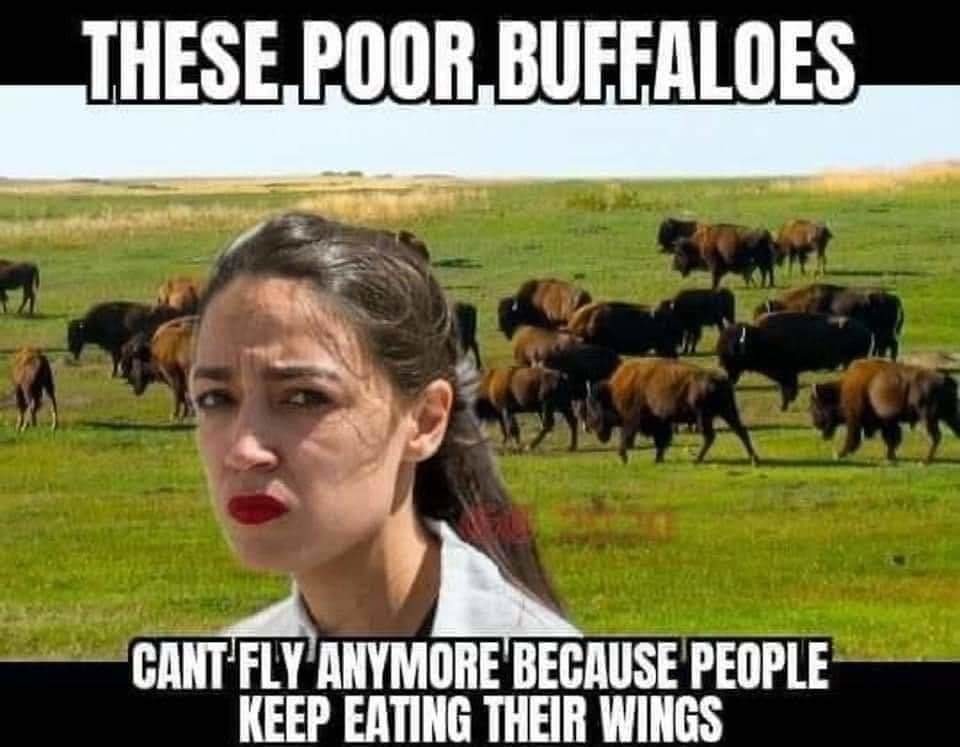 #justiceforthebuffalo - meme