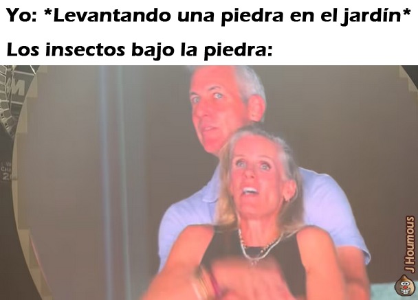 Insectos - meme
