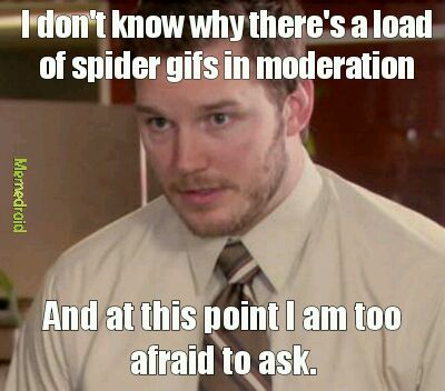 Random spiders - meme