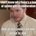 Random spiders