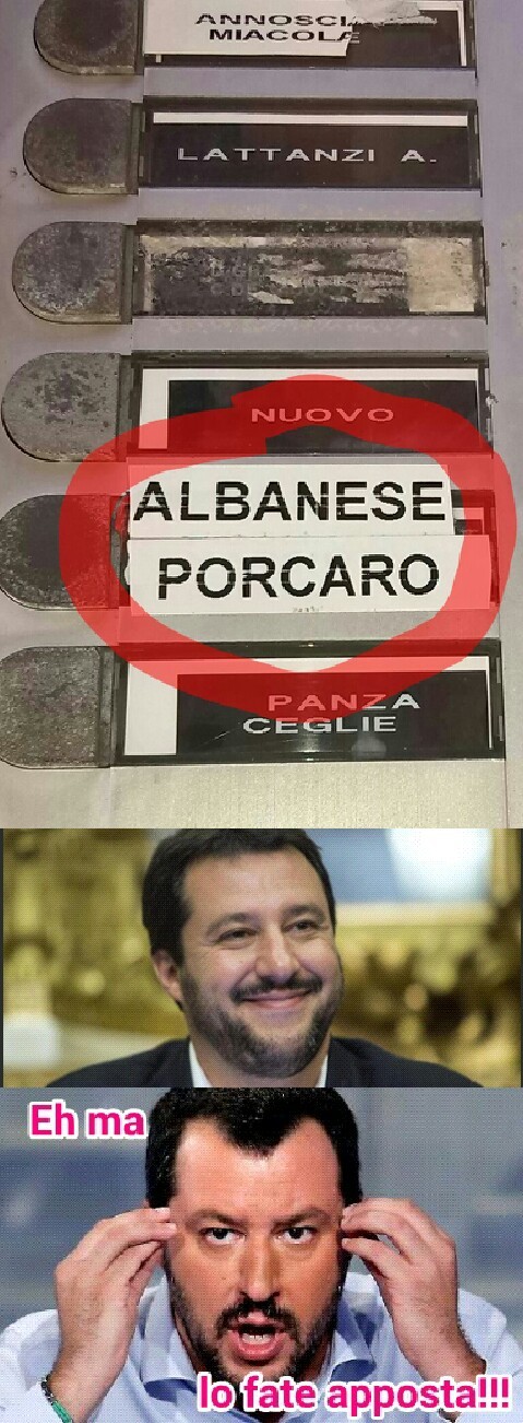 Salvini sara' sempre al tuo fianco :{ ) - meme
