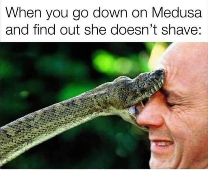 Medusa's a bitch - meme