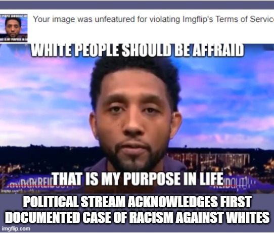 The first post ever removed in history for being racist against whites - meme