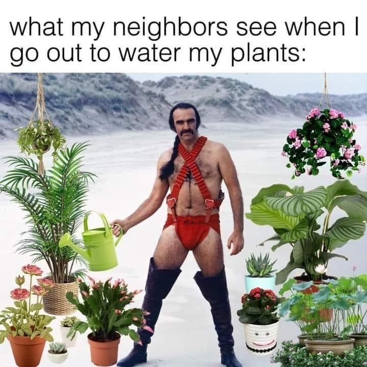 Don't look at me - meme