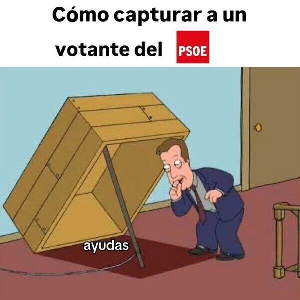 Meme de los votantes del PSOE