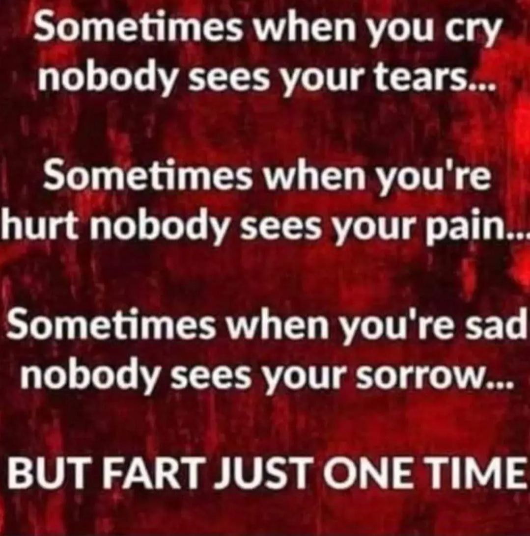 Nobody notices your pain... until you fart once - meme