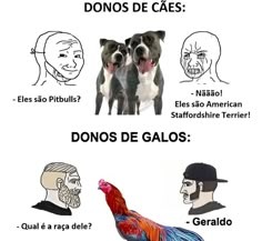 Sim - meme