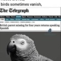 commented item thumbnail