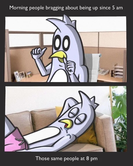 5am boys - meme