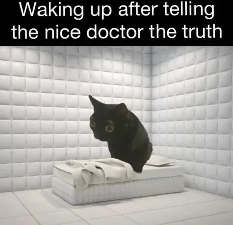 Telling the nice doctor the whole truth was a mistake - meme