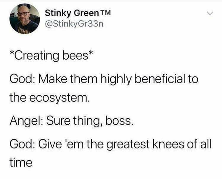 The bees knees - meme