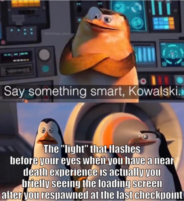 Say something smart, Kowalski - meme