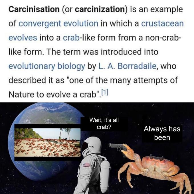 Being crabby is evolution at work - meme