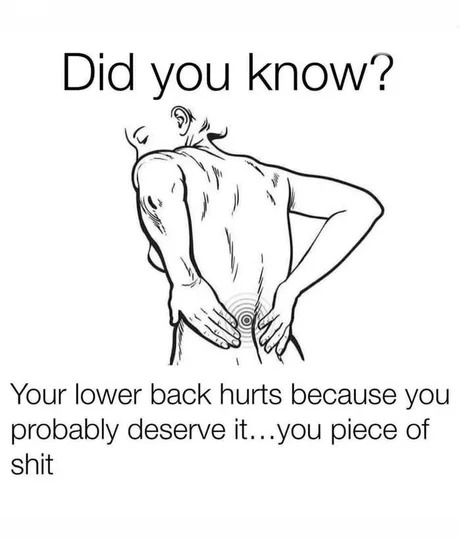 Why your lower back hurts? - meme