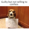Guilty but not willing to confess