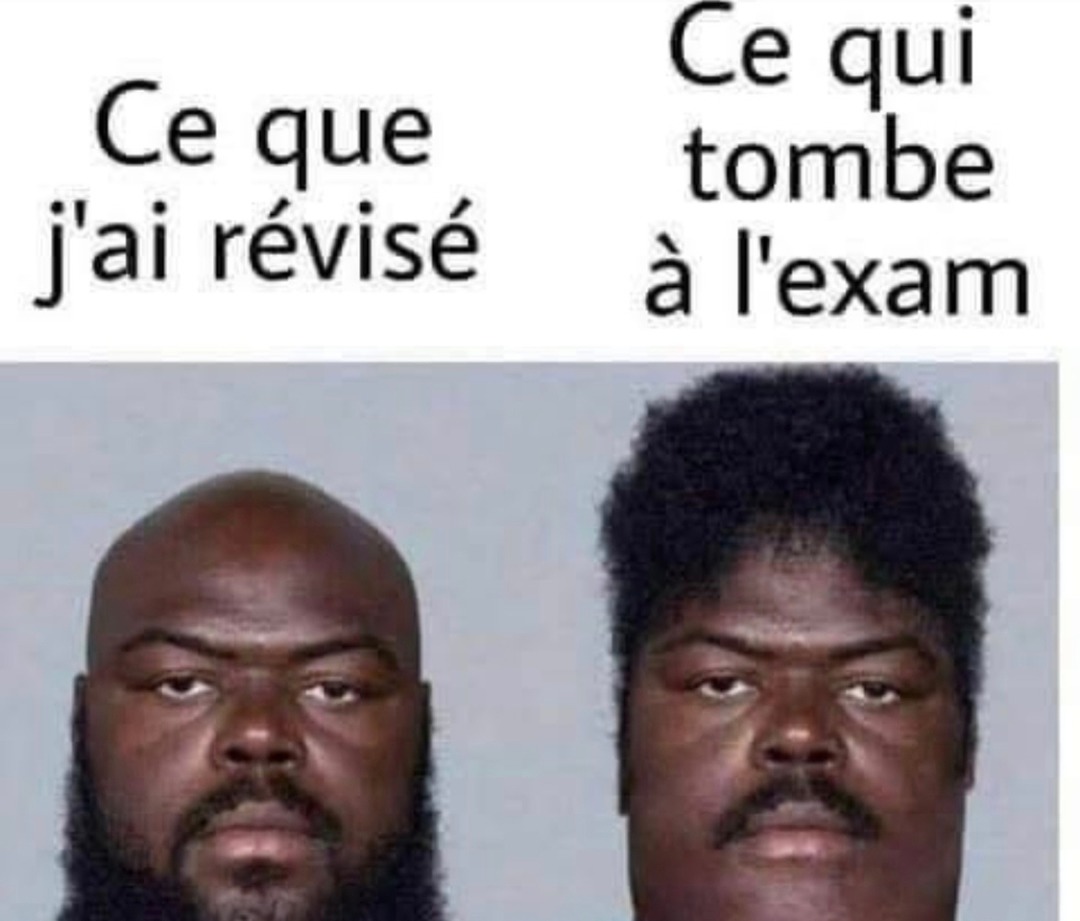 Le moment où t'as révisé pile le truc qui tombe pas - meme