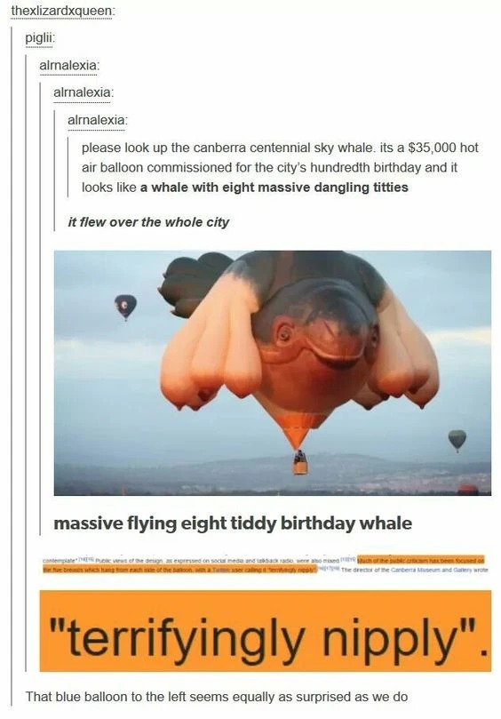 Birthday whale... welcome to cursed land - meme