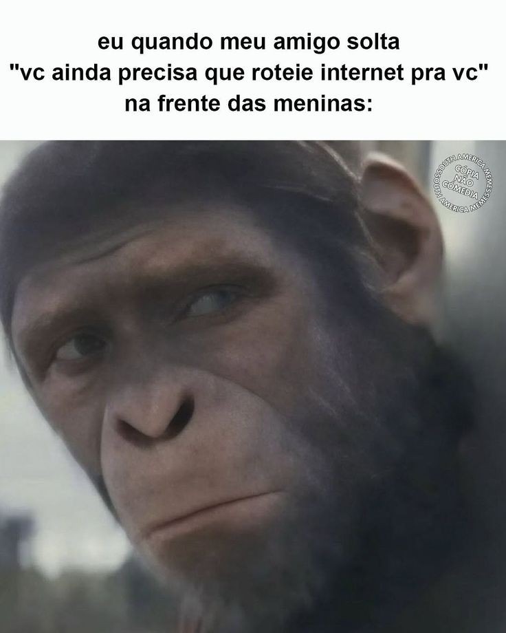 Internet - meme
