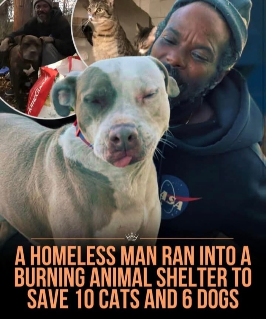 Homeless man ran into a fire to save 16 animals. Legend. - meme