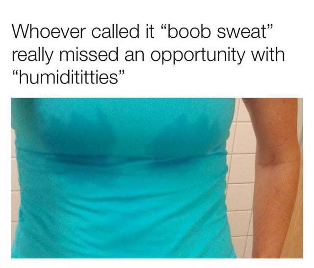 Boob sweat or humidititties? - meme