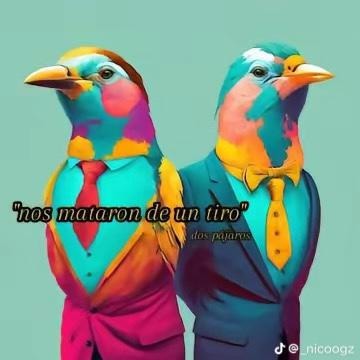 Dos pájaros - meme