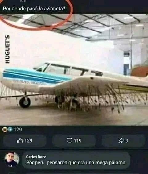 Pasó una avioneta? No, en Perú pensaron que era una mega paloma - meme
