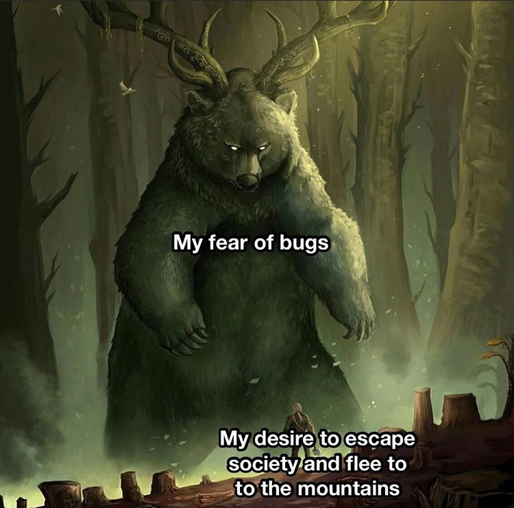 but there’s more bugs in the wild - meme