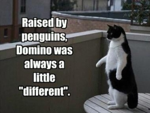 Domino liked to eat seal meat too... - meme