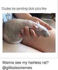 Rat - meme