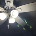 No one: That one friend that turns on the fan: