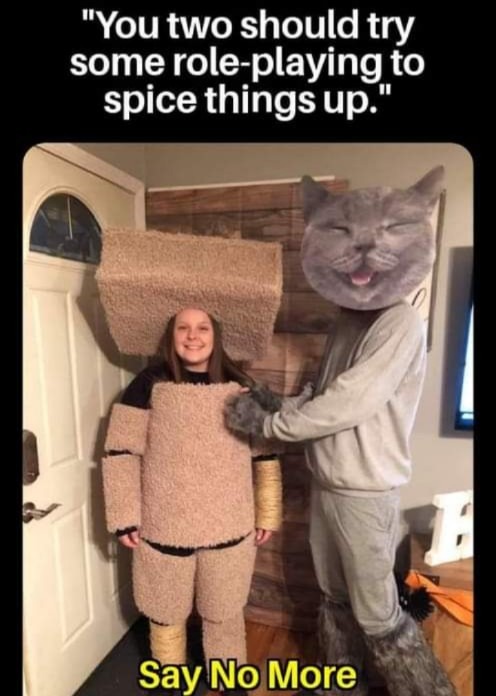Cat Scratch - meme