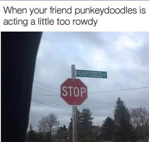 But why did they name a street after your friend? - meme