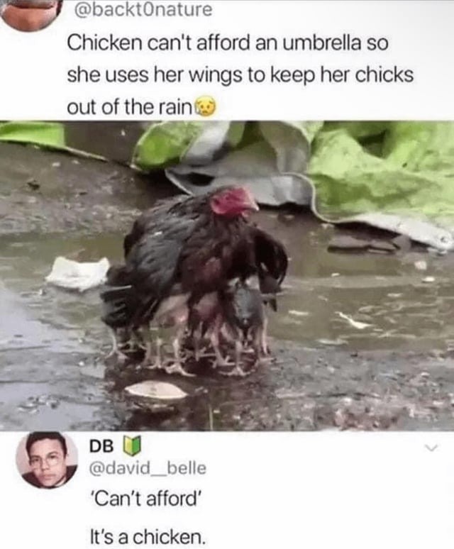 Funny dank memes