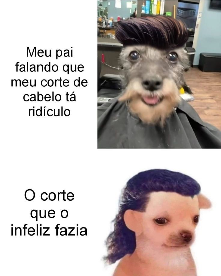 Corte de cabelo - meme