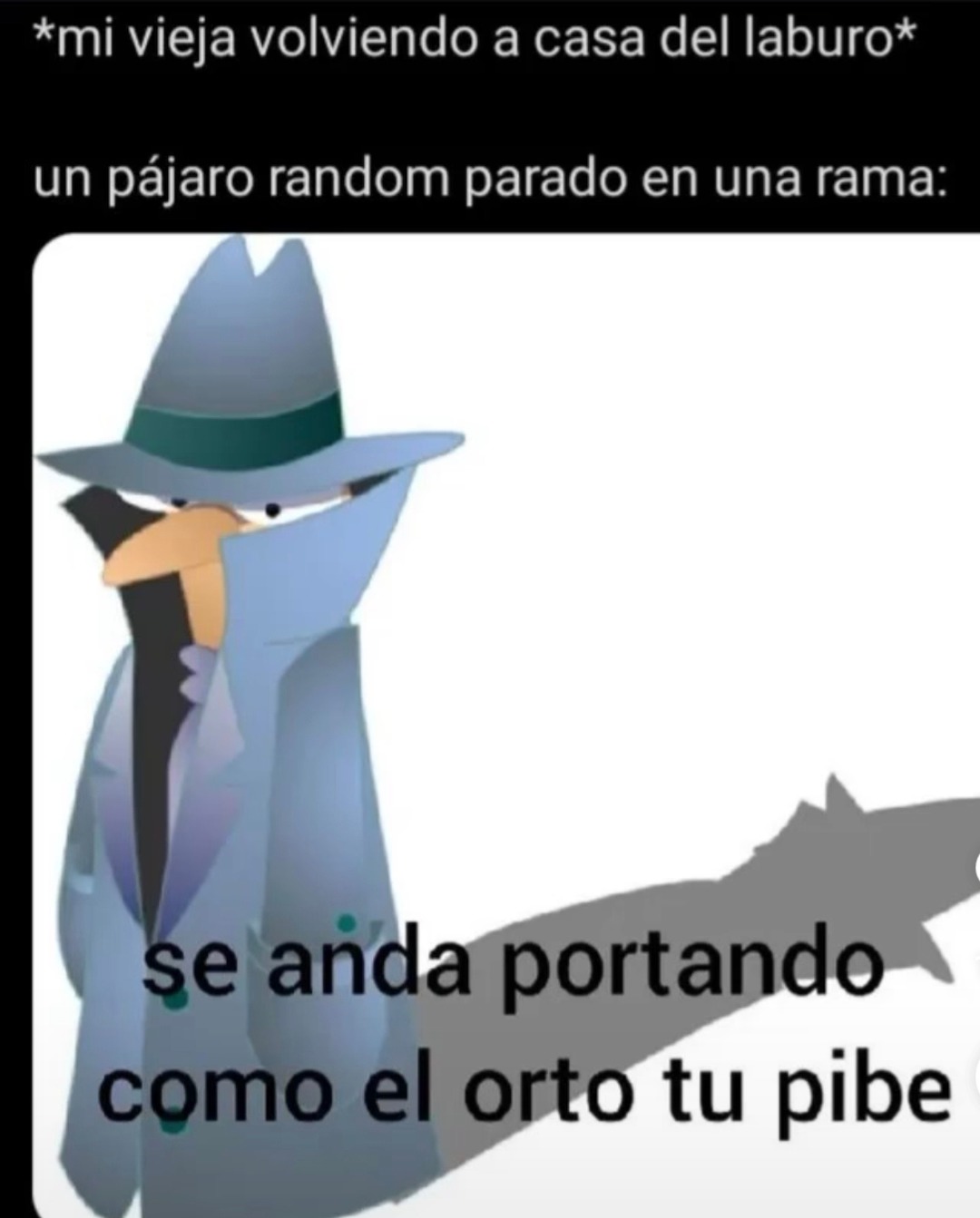 Mi vieja volviendo del curro y el pájaro chismoso tirando data - meme