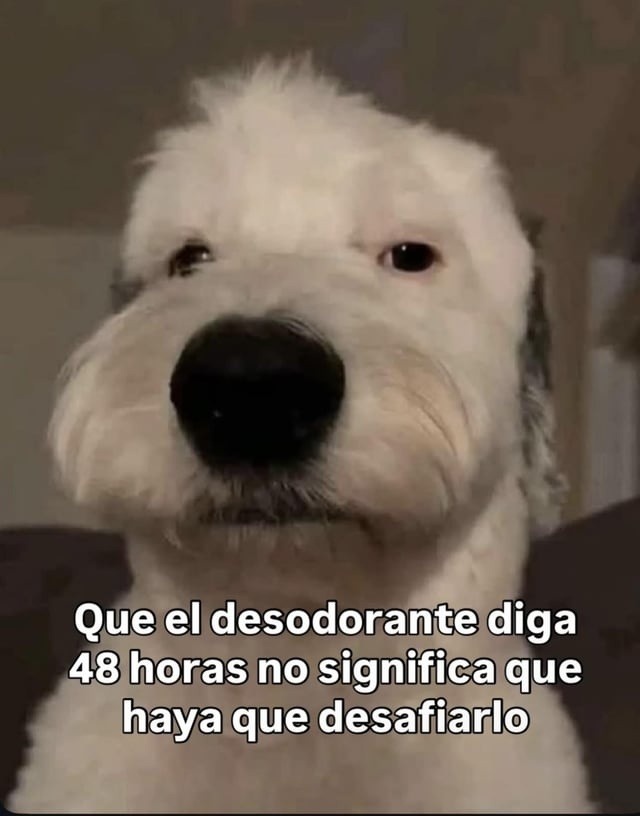 Que diga 48h no es pa' que vayas a oler a furia - meme