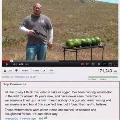 Watermelon doggo - meme