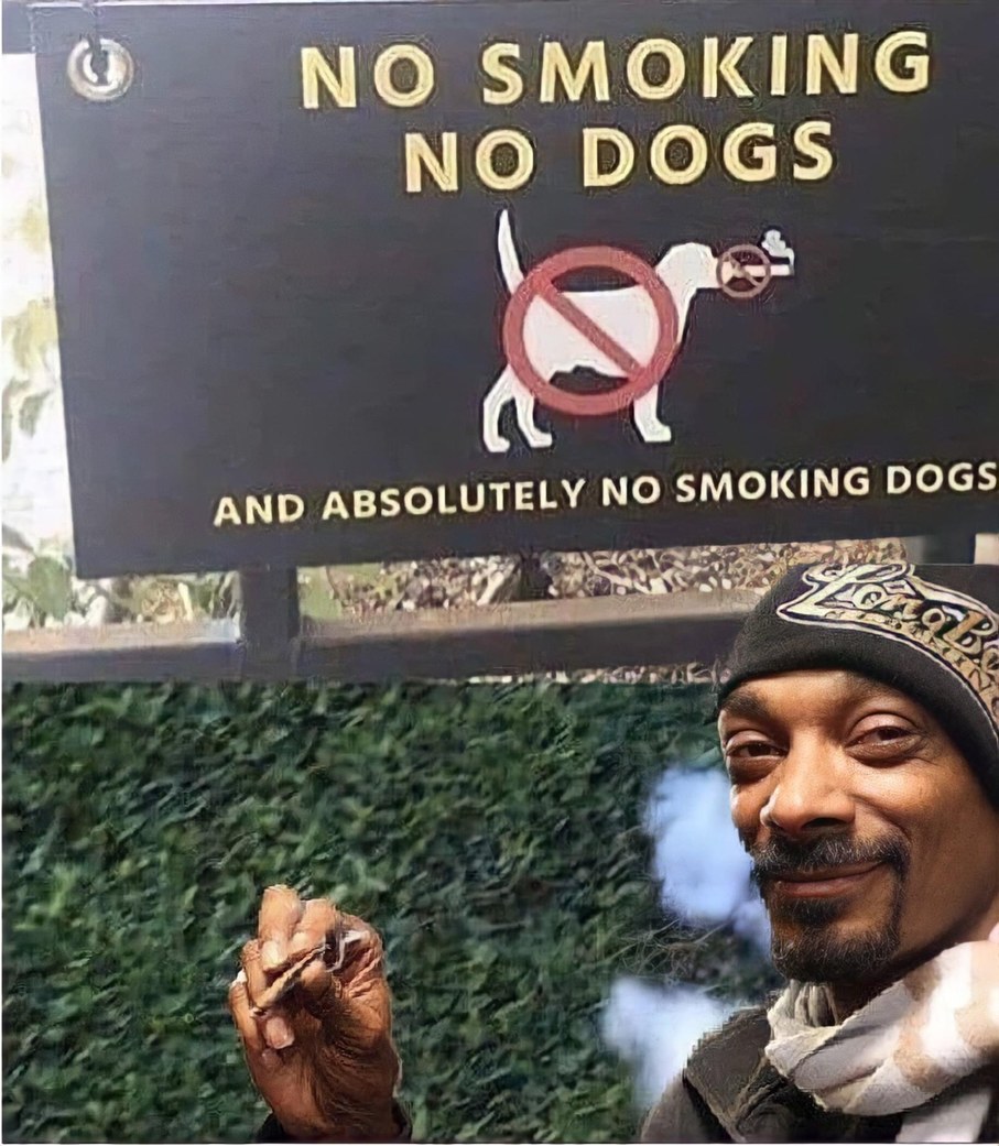 Good luck telling the DoggFather that. - meme