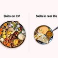Skills on CV and in real life, this is so accurate