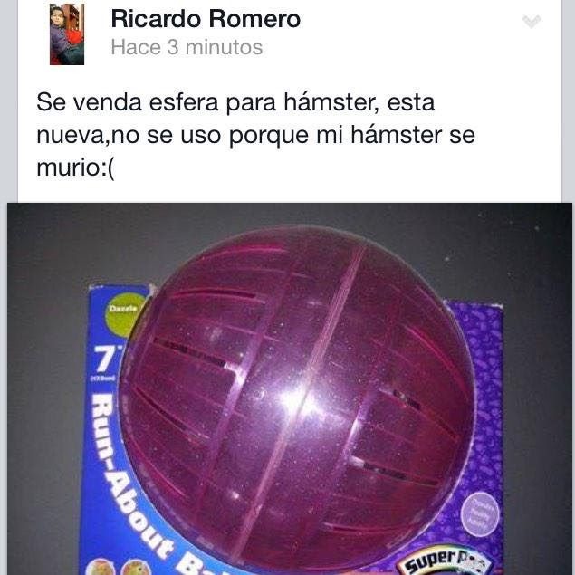 Xd - meme