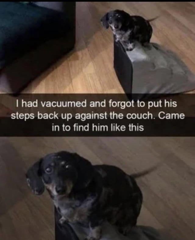Forgot to put the steps back and he just gave up on life - meme