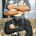 I carry my cat the same way Chris does with the baby in RE8.