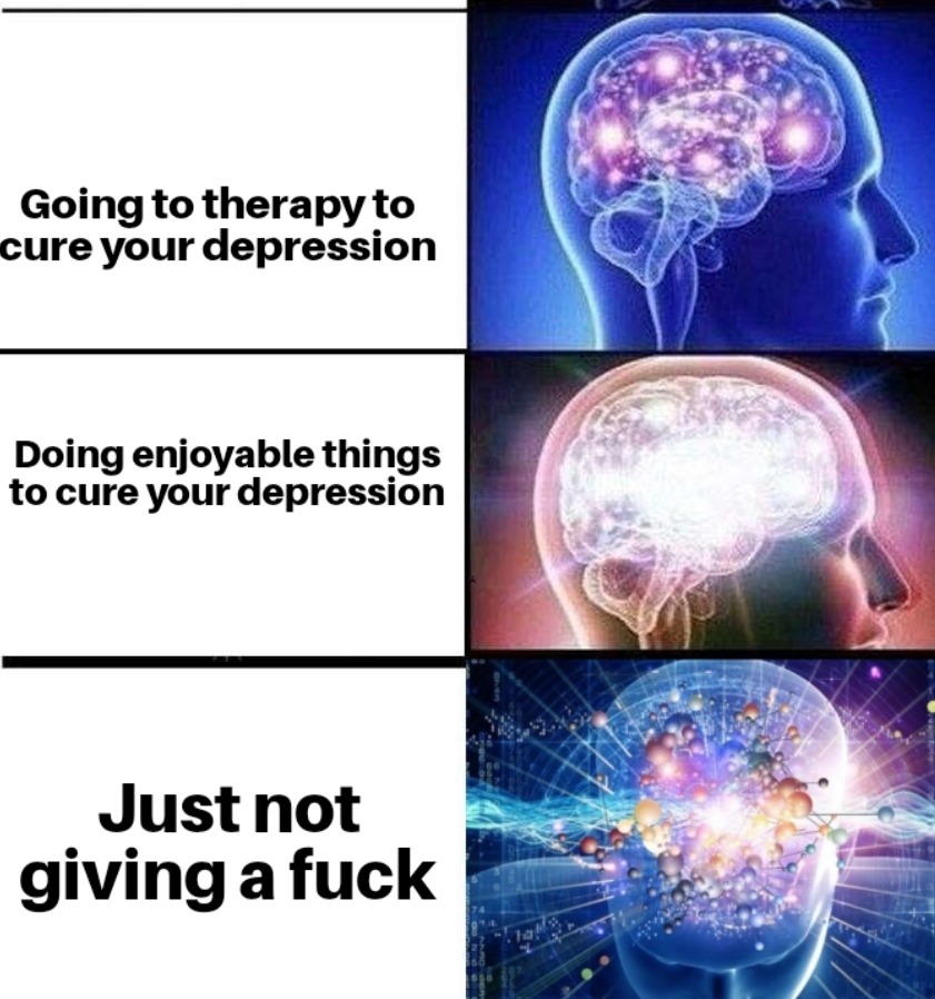 cure to depression fr - meme