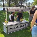 Mini bar