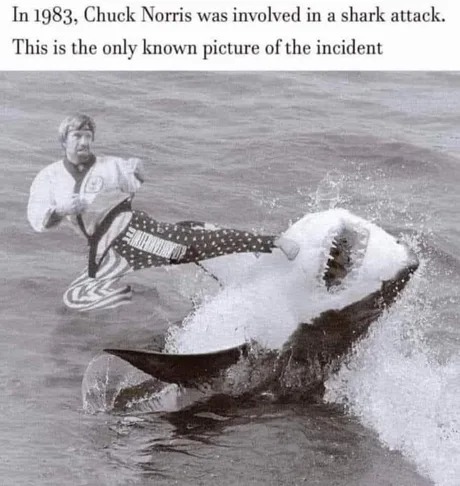 Chuck Norris shark attack - meme