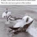 Chuck Norris shark attack