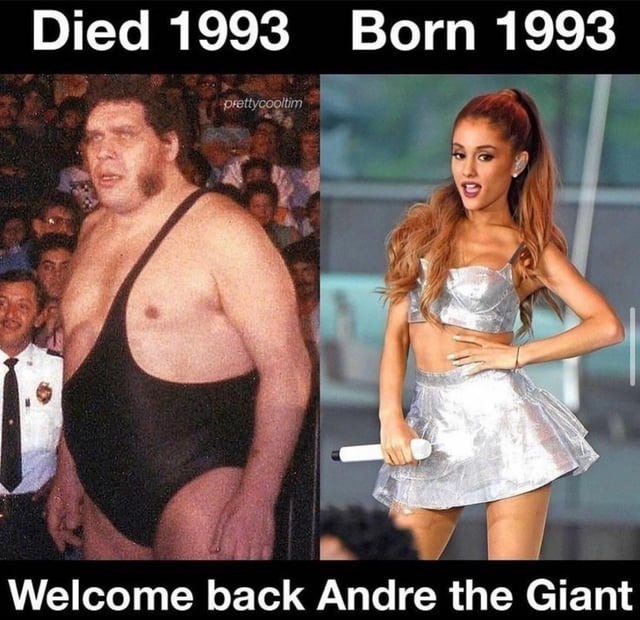 Reencarnacion de Andre el gigante - meme