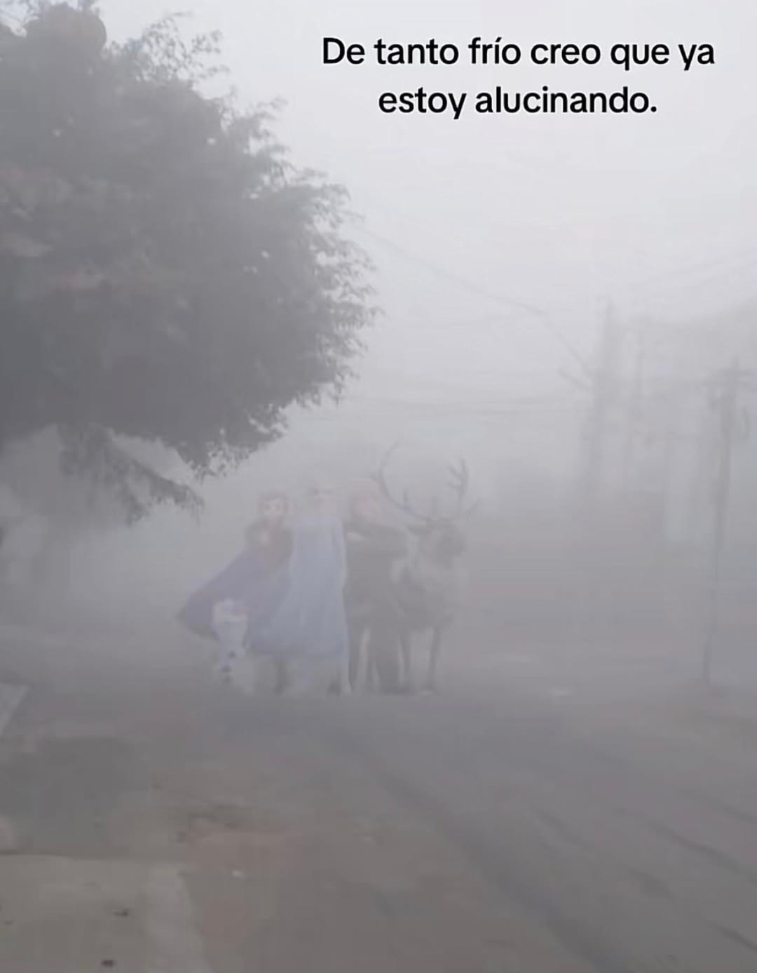 Hace tanto frío que ya veo cosas que no existen - meme